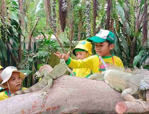 Sentra Bahan Alam KB–TK Sinergi: Ketika Alam Menjadi Guru Terbaik Anak